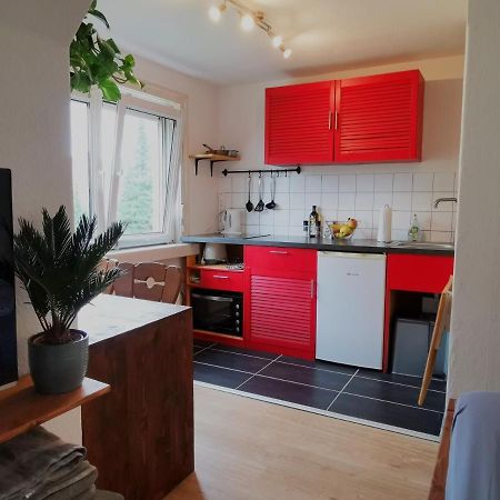 Kleines Studio Am Uni-Campus - Perfekt Fuer Junge Unternehmungslustige Dresden Eksteriør bilde